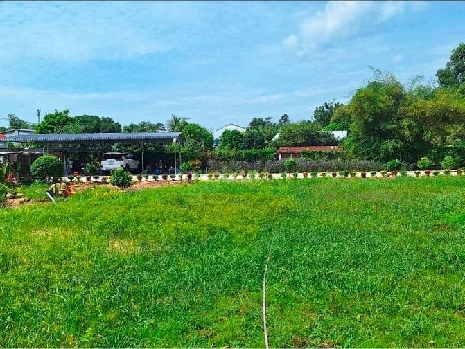 Biệt thự Mây Hồng Villa xây dựng phong cách Châu Âu, nội ngoại thất 5 