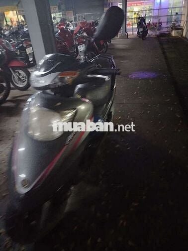 Cần bán gấp về quê