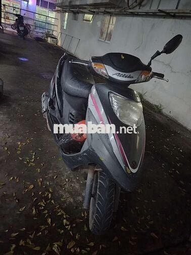 Cần bán gấp về quê