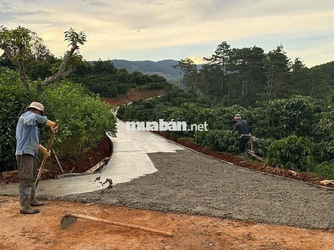 Cần thanh lý lô đất chính chủ 7x33m giá 475tr