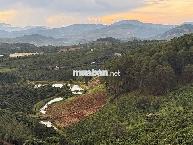 Cần thanh lý lô đất chính chủ 7x33m giá 475tr