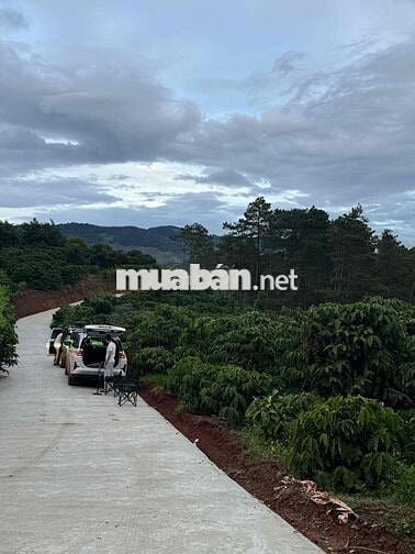 Cần thanh lý lô đất chính chủ 7x33m giá 475tr