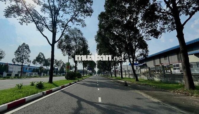 BĐS CÔNG NGHIỆP CHƯA BAO GIỜ NGỪNG HOT !!!