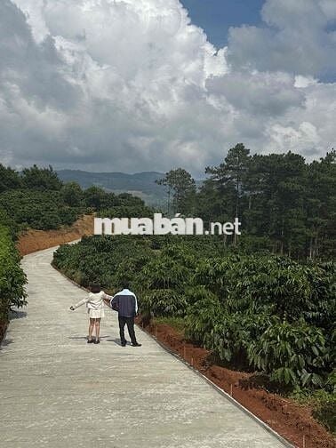 Cần thanh lý lô đất chính chủ 7x33m giá 475tr