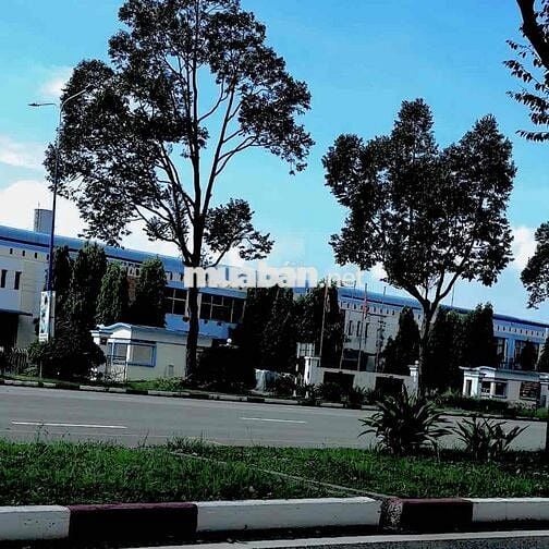 BĐS CÔNG NGHIỆP CHƯA BAO GIỜ NGỪNG HOT !!!