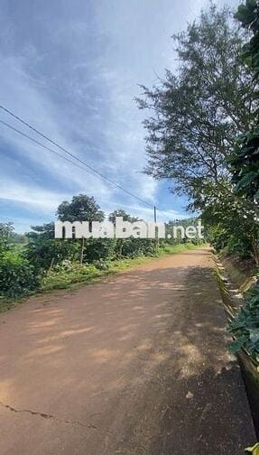 Đất 265m2, ngang 8 dài 34, sẵn 140m2 thổ cư ở Nam Hà Lâm Hà, Lâm Đồng