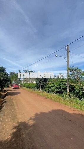 Đất 265m2, ngang 8 dài 34, sẵn 140m2 thổ cư ở Nam Hà Lâm Hà, Lâm Đồng