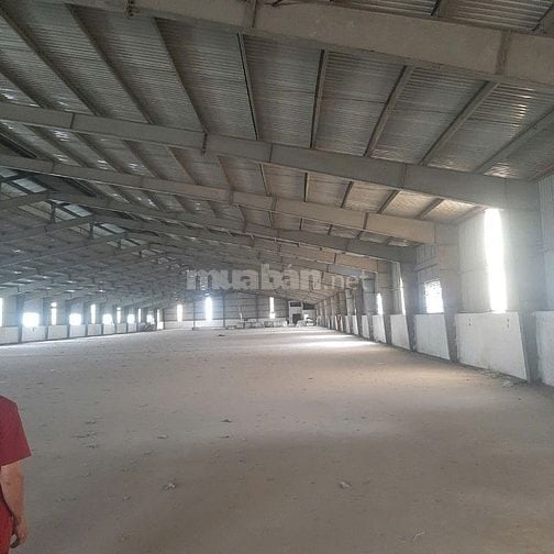 Cho thuê kho xưởng 2.000m2 MT Trần Văn Giàu, Bình Chánh, giá: 100tr/TH