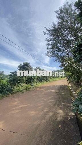 Cần thanh lý lô đất chính chủ 7x33m giá 475tr