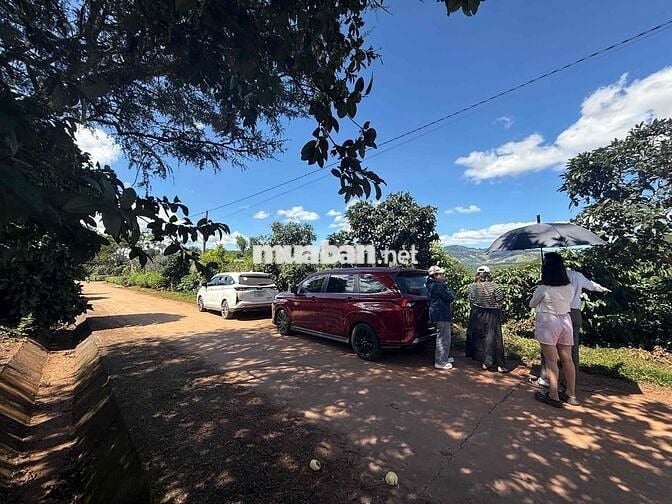 Cần thanh lý lô đất chính chủ 7x33m giá 475tr