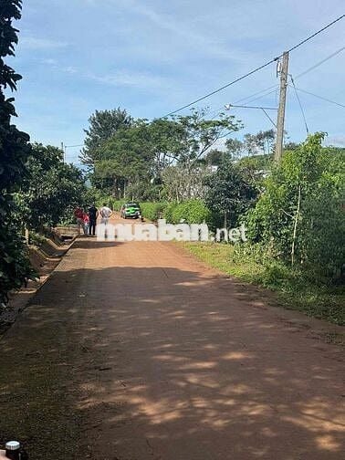 Cần thanh lý lô đất chính chủ 7x33m giá 475tr