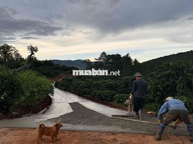 Cần thanh lý lô đất chính chủ 7x33m giá 475tr