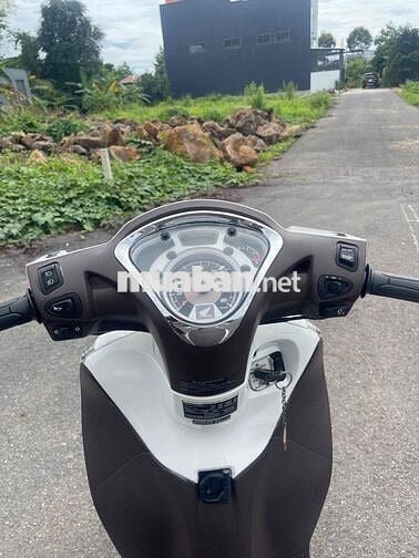 cần bán sh mode mới keng ngay chủ