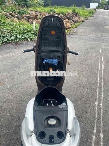 cần bán sh mode mới keng ngay chủ