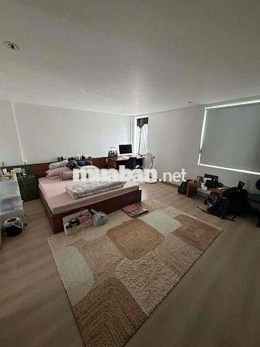 ✅ Cho Thuê Toà Nhà HXH 6 Lầu Hầm Xe TM_Lê Văn Sỹ_Quận 3