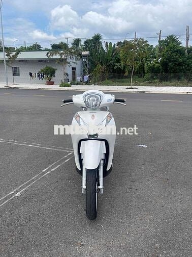 cần bán sh mode mới keng ngay chủ