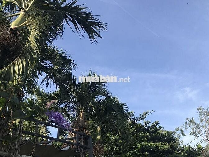 Thủ Đức cho thuê nhà nguyên căn