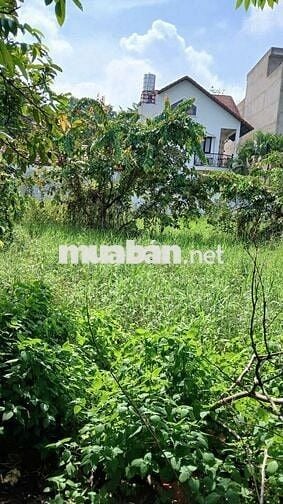 Lô đất KDC Tân Tiến - Hẻm 8m Nguyễn Văn Quá - Ngang 5m - 135m2