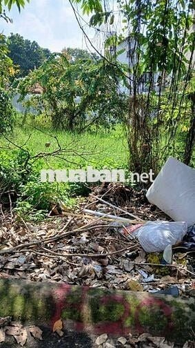 Lô đất KDC Tân Tiến - Hẻm 8m Nguyễn Văn Quá - Ngang 5m - 135m2