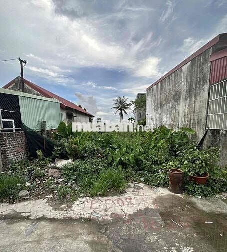 Đất 77m2 HXH 3m Hoàng Mai, Đồng Thái chỉ 1,35 tỷ đồng