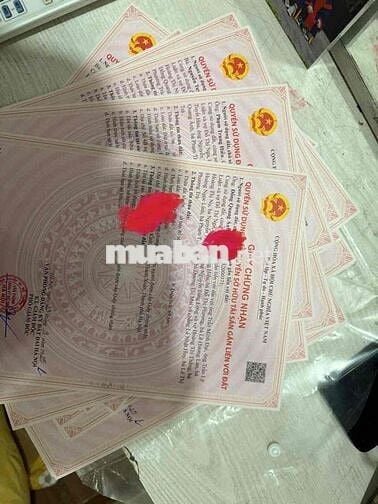 Bán CCMN Penthouse Sổ Hồng Từng Căn - Chính Kinh, Ga Tàu Điện