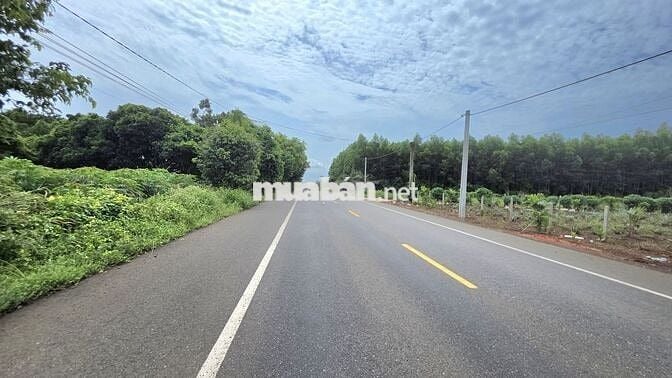 Bán vườn bơ 3064m TL 765 long tân -300m thổ cư giá 8 tỷ 500