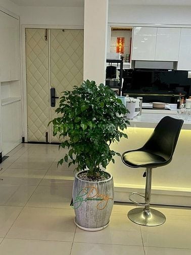 Bán CH 2PN, 2WC, 115m2 tại Samland Giai Việt, 5,35 tỷ, Q8, HCM bao đẹp