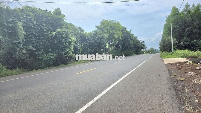 Bán vườn bơ 3064m TL 765 long tân -300m thổ cư giá 8 tỷ 500