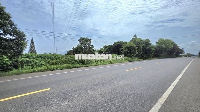 Bán vườn bơ 3064m TL 765 long tân -300m thổ cư giá 8 tỷ 500