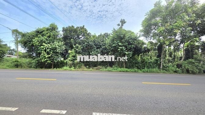 Bán vườn bơ 3064m TL 765 long tân -300m thổ cư giá 8 tỷ 500