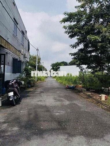 106m2 Hố Nai 3 cũ (Phường Hố Nai) sổ hồng thổ cư