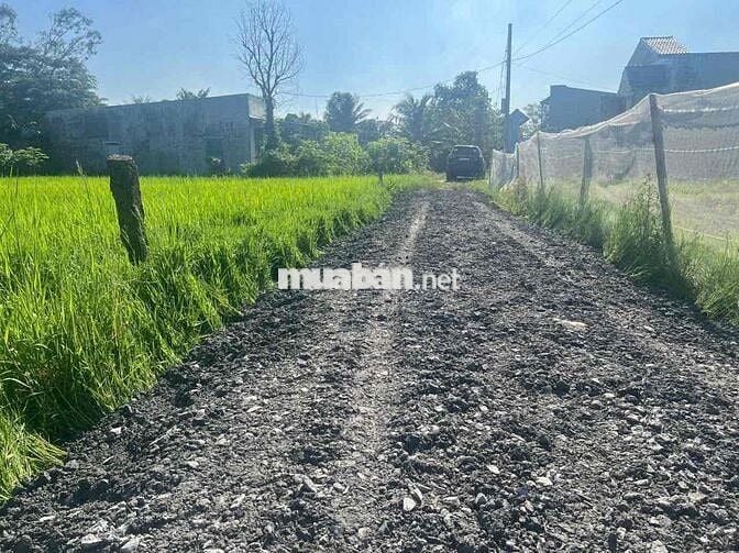 500m2 đường số 2 bình lợi 1ty3 quá rẻ Đức Hoà Long An