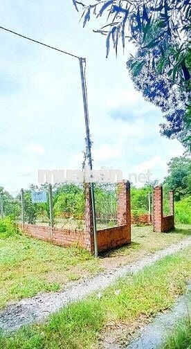 Bán 303mv đất vườn Vĩnh Tân TP HCM