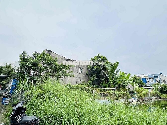 Đất Hai Mặt Tiền 2 Mặt Hẻm đường TX24 - Sau trường Nguyễn Văn Thệ