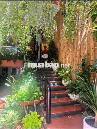 Cho thuê nhà mặt tiền Nguyễn Đình Chiểu diện tích khủng giá chỉ 52tr