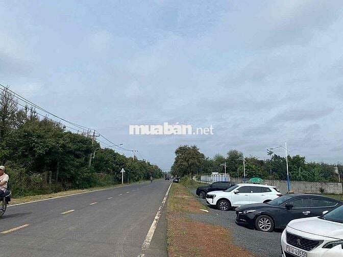 ĐẤT NỀN SỔ SẴN GIÁ RẺ TẠI CHƠN THÀNH BÌNH PHƯỚC