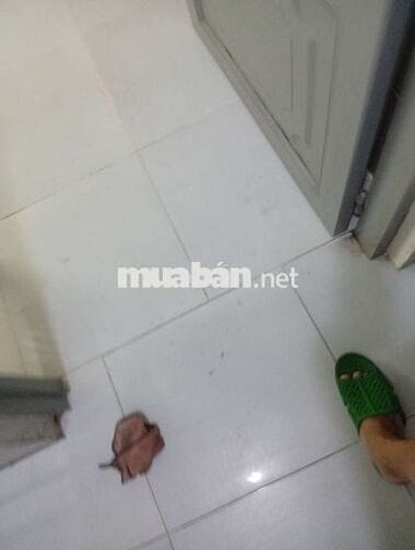 Chính chủ cho thuê phòng mới xây, có gác, giờ giấc tự do