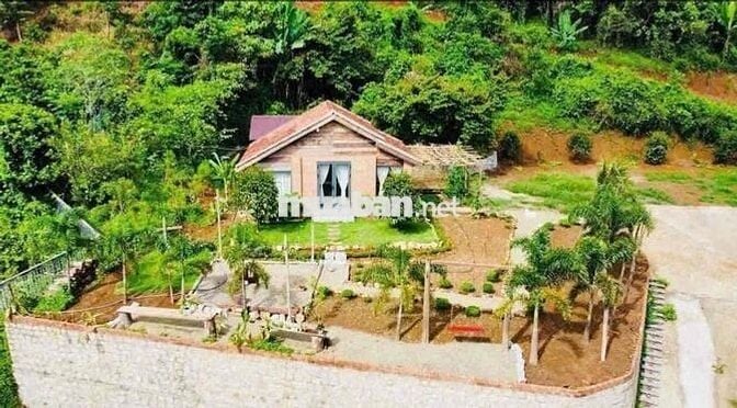 🔥 Bán Gấp Lô Đất Sào Nghỉ Dưỡng – Đại Lào, P.3 Bảo Lộc 🔥