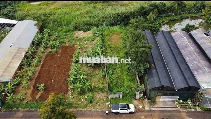 Bán đất nở hậu 355m² ngay trung tâm P2 Bảo Lộc,  giá chỉ 475 triệu