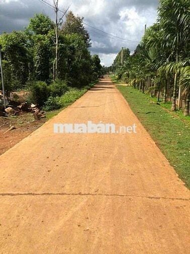 Cơ hội đầu tư đất 2 mặt tiền,lô nở hậu vượng khí,hẻm đẹp oto