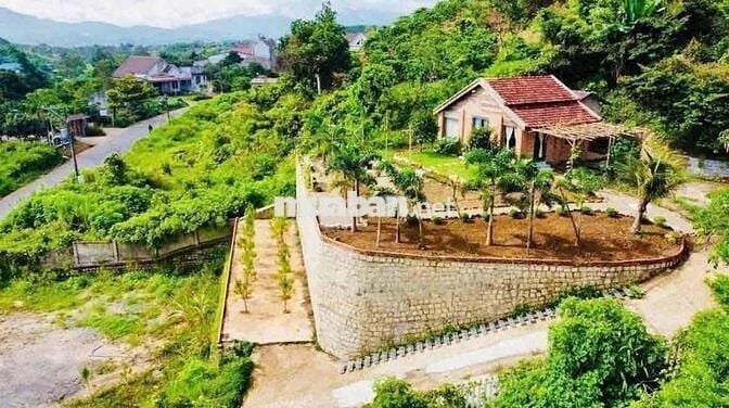 🔥 Bán Gấp Lô Đất Sào Nghỉ Dưỡng – Đại Lào, P.3 Bảo Lộc 🔥