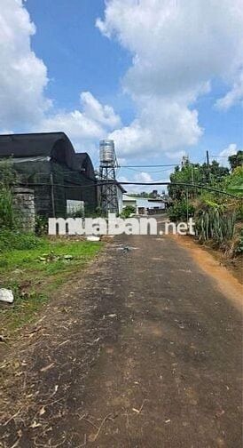 Bán đất nở hậu 355m² ngay trung tâm P2 Bảo Lộc,  giá chỉ 475 triệu