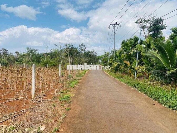 Bán Nhanh Đất Phố Full Thổ Cư Giá Đất Huyện