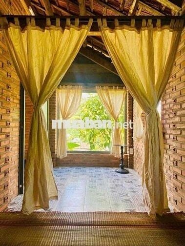 🔥 Bán Gấp Lô Đất Sào Nghỉ Dưỡng – Đại Lào, P.3 Bảo Lộc 🔥