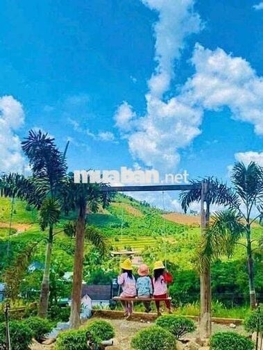 🔥 Bán Gấp Lô Đất Sào Nghỉ Dưỡng – Đại Lào, P.3 Bảo Lộc 🔥