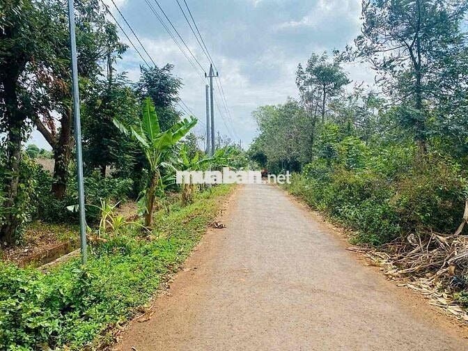 Bán Nhanh Đất Phố Full Thổ Cư Giá Đất Huyện