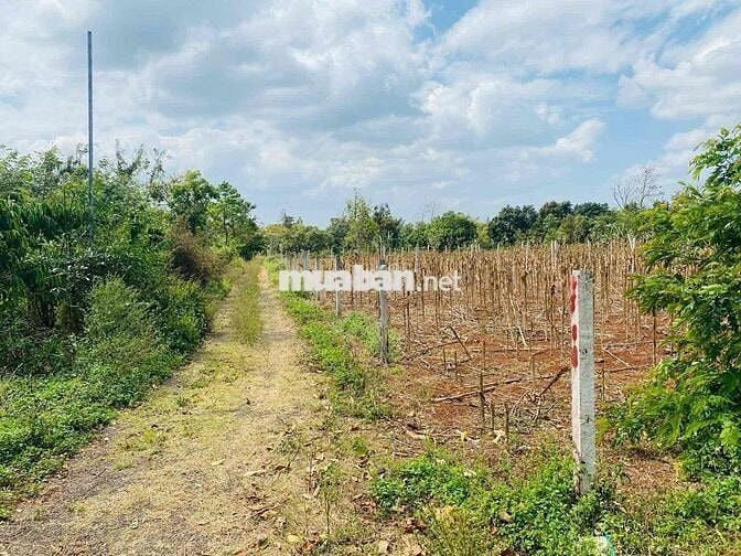 Bán Nhanh Đất Phố Full Thổ Cư Giá Đất Huyện