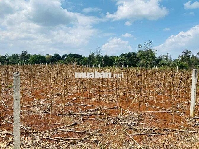 Bán Nhanh Đất Phố Full Thổ Cư Giá Đất Huyện