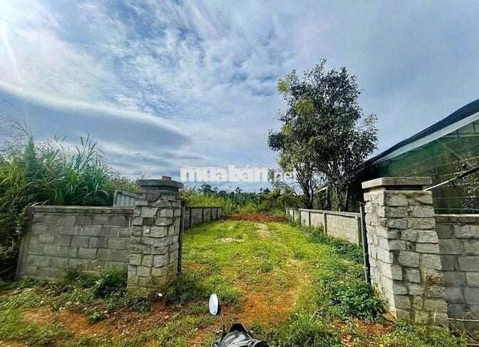 Bán đất nở hậu 355m² ngay trung tâm P2 Bảo Lộc,  giá chỉ 475 triệu