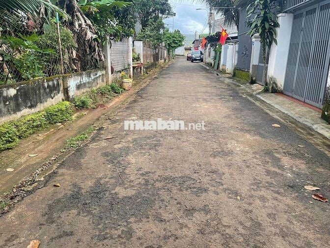 Đất hẻm 04 Nguyễn Xuân Nguyên 5x30 đường nhựa 6m giá 3ty650